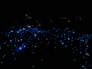 ���C�g�A�b�v 04