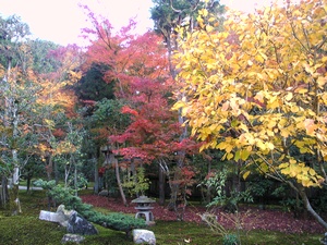 �΁E�ԁE���F