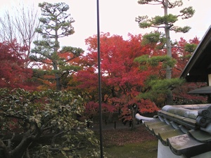 �ԁE�΁E�ԁE��