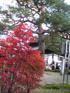 ���͏�������