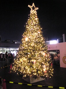 ���΂��ރc���[