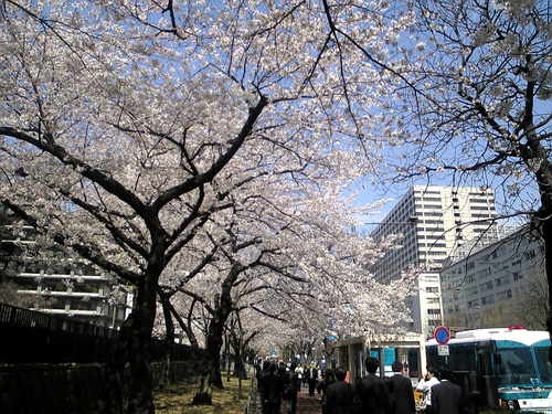 �O���ȑO�̍�