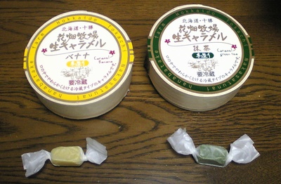 �Ԕ��q�� ���L�������� �o�i�i������