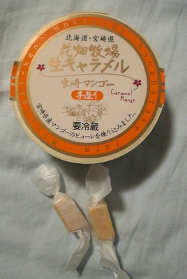 �Ԕ��q�� ���L�������� �{��}���S�[