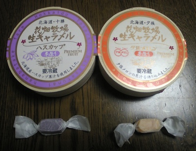 �Ԕ��q�ꐶ�L�������� �n�X�J�b�v���[��������