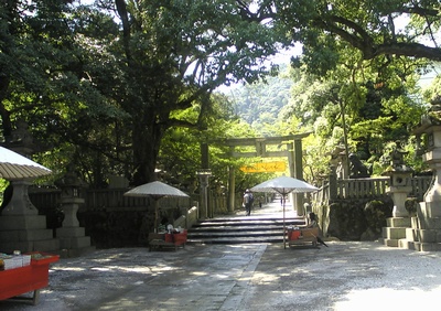 �Q�� ����