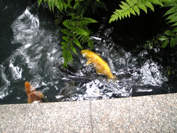 �h�����r