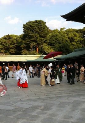 �������s�� 1