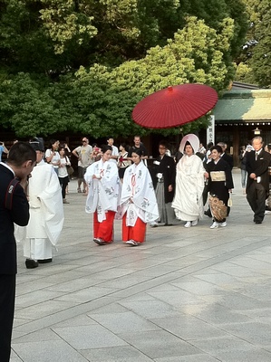 �������s�� 2