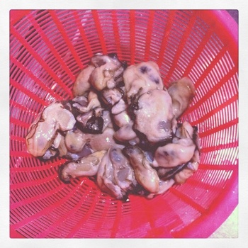 ���a�i���M�p�j