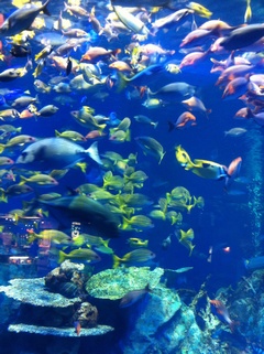 ���H������ 1