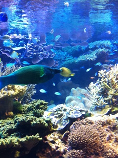 ���H������ 2