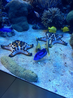 ���H������ 3