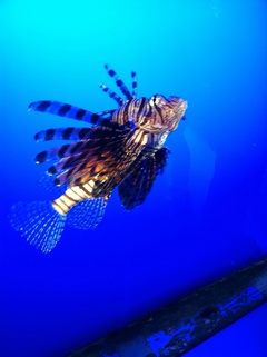 ���H������ 4