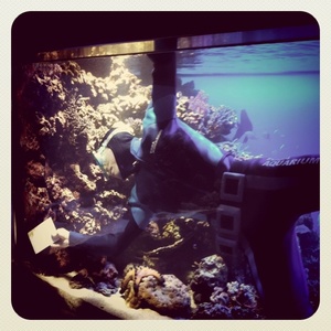 ���H������ 5