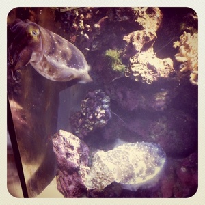 ���H������ 6