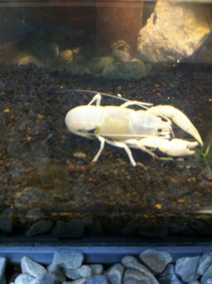 ���H������ 7