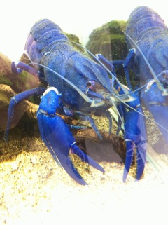 ���H������ 8