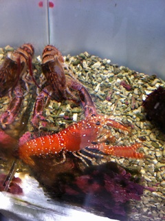 ���H������ 9