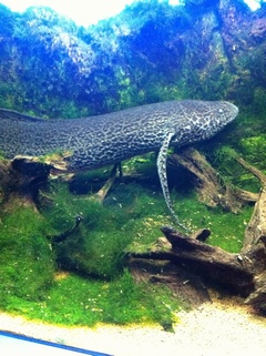 ���H������ 10