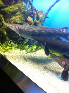 ���H������ 11