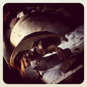 ���H������ 12