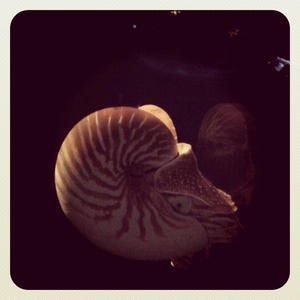 ���H������ 13