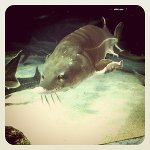 ���H������ 14