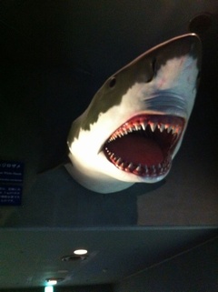 ���H������ 15