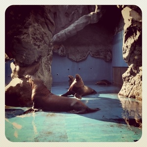 ���H������ 16