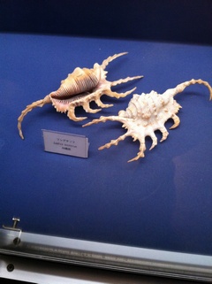 ���H������ 17