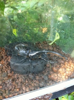 ���H������ 18