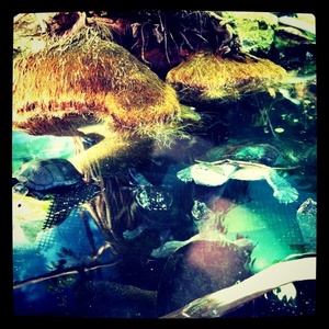 ���H������ 19