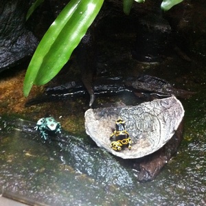 ���H������ 20