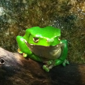 ���H������ 21