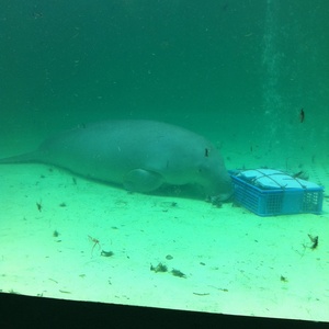 ���H������ 22