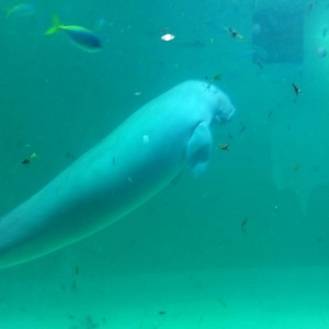 ���H������ 23