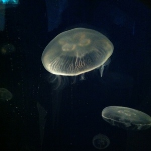 ���H������ 24