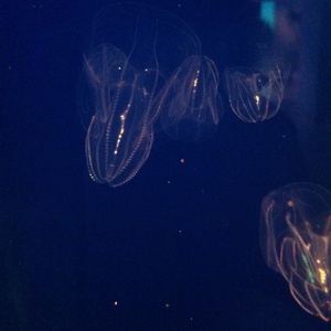 ���H������ 25