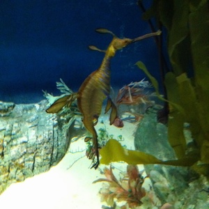 ���H������ 26