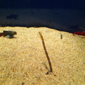 ���H������ 28