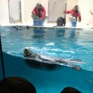 ���H������ 30