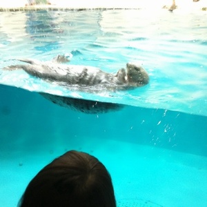 ���H������ 31