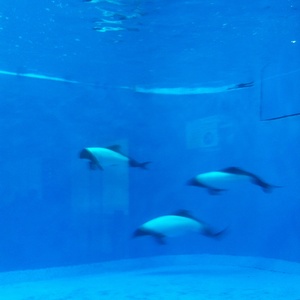 ���H������ 32