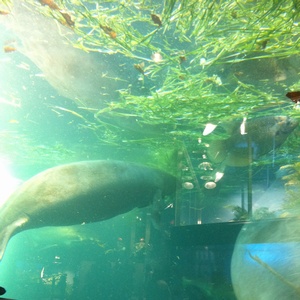 ���H������ 34