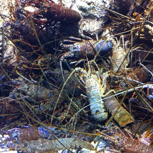 ���H������ 35