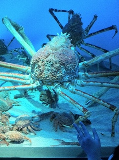 ���H������ 36