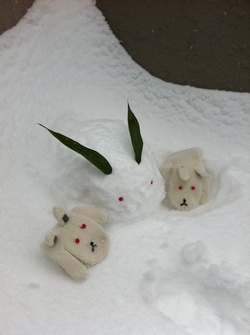 �䂫������