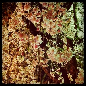 ���������_��