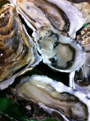 ���y3�� �i�O�d�����Ό΁E���茧��\�㓇�E�k�C���������j